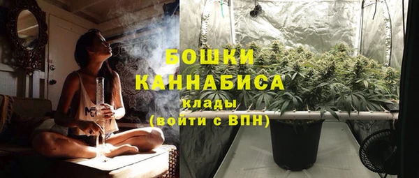 Альфа ПВП Каменка