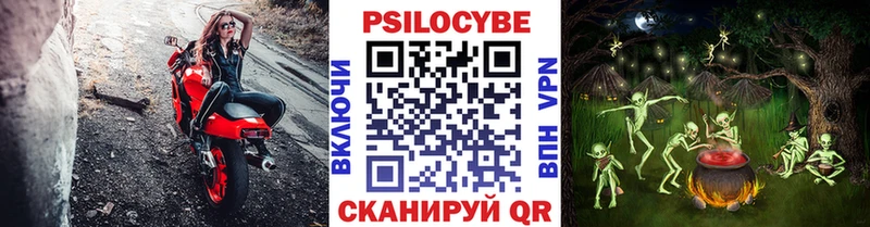 Псилоцибиновые грибы Cubensis  хочу   Кологрив 