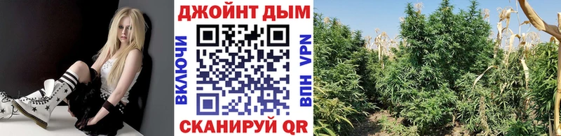 купить наркотик  Кологрив  Канабис планчик 